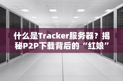 什么是Tracker服务器？揭秘P2P下载背后的“红娘”大管家！