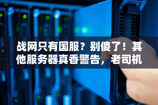 战网只有国服？别傻了！其他服务器真香警告，老司机带你飙车全球服！
