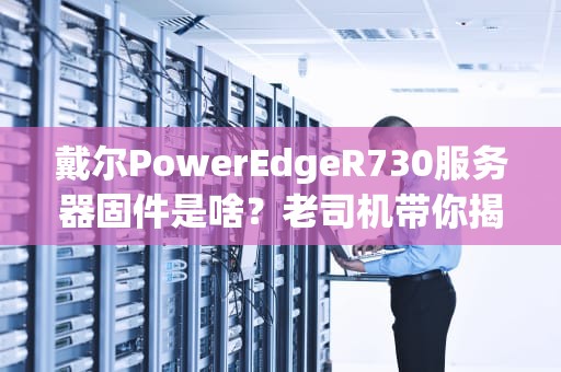 戴尔PowerEdgeR730服务器固件是啥？老司机带你揭秘“钢铁侠”的脑回路！