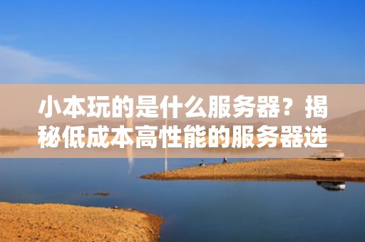 小本玩的是什么服务器？揭秘低成本高性能的服务器选择秘籍！