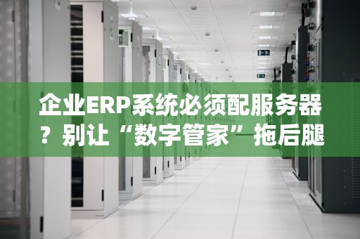企业ERP系统必须配服务器？别让“数字管家”拖后腿！