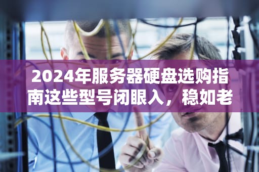 2024年服务器硬盘选购指南这些型号闭眼入，稳如老狗！