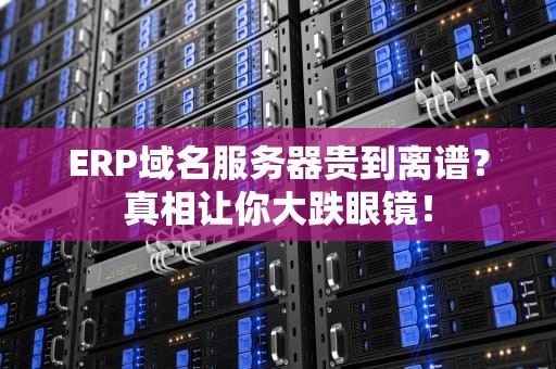 ERP域名服务器贵到离谱？真相让你大跌眼镜！