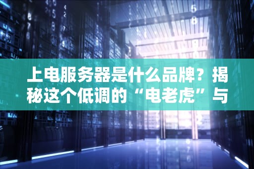 上电服务器是什么品牌？揭秘这个低调的“电老虎”与它的竞品们
