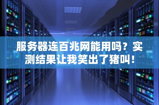 服务器连百兆网能用吗？实测结果让我笑出了猪叫！