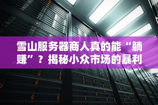 雪山服务器商人真的能“躺赚”？揭秘小众市场的暴利与陷阱！