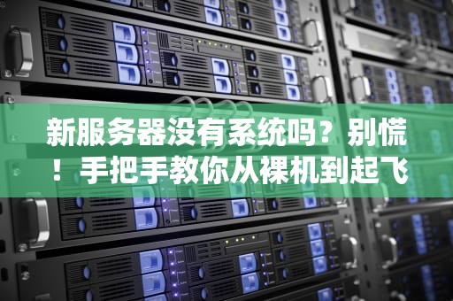 新服务器没有系统吗？别慌！手把手教你从裸机到起飞（附超详细避坑指南）