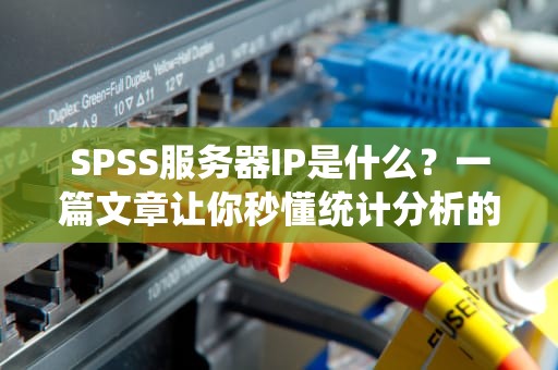 SPSS服务器IP是什么？一篇文章让你秒懂统计分析的“门牌号”！