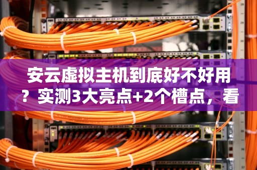 安云虚拟主机到底好不好用？实测3大亮点+2个槽点，看完再剁手！
