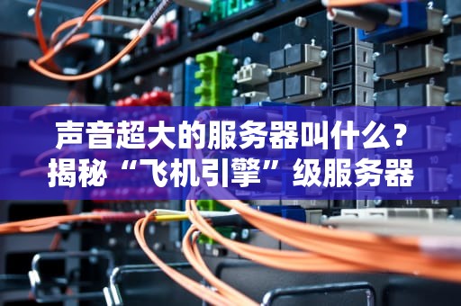 声音超大的服务器叫什么？揭秘“飞机引擎”级服务器的秘密！