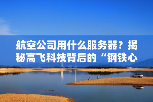 航空公司用什么服务器？揭秘高飞科技背后的“钢铁心脏”