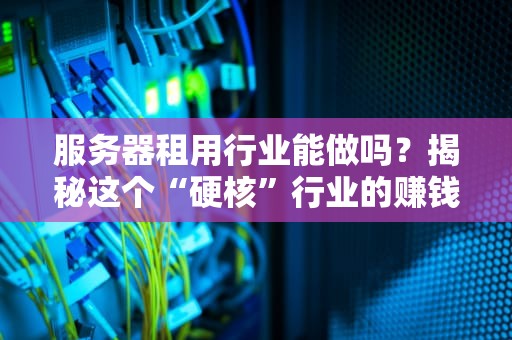 服务器租用行业能做吗？揭秘这个“硬核”行业的赚钱门道！