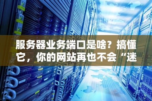服务器业务端口是啥？搞懂它，你的网站再也不会“迷路”啦！