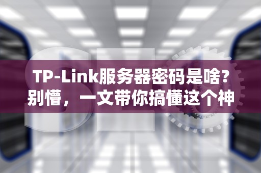TP-Link服务器密码是啥？别懵，一文带你搞懂这个神秘代码！