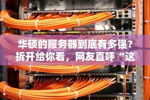 华硕的服务器到底有多强？拆开给你看，网友直呼“这波不亏”！