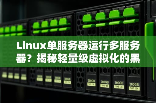 Linux单服务器运行多服务器？揭秘轻量级虚拟化的黑科技！