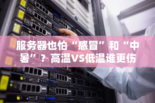服务器也怕“感冒”和“中暑”？高温VS低温谁更伤？专业测评揭秘！