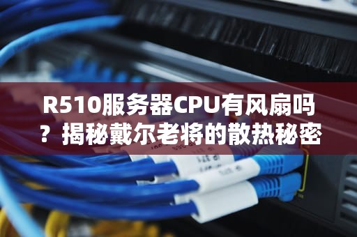 R510服务器CPU有风扇吗？揭秘戴尔老将的散热秘密！