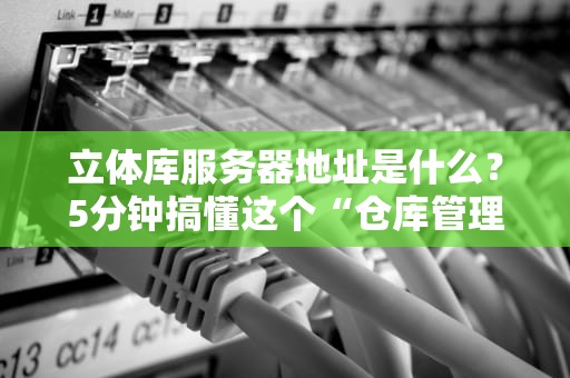 立体库服务器地址是什么？5分钟搞懂这个“仓库管理员”的身份证号！