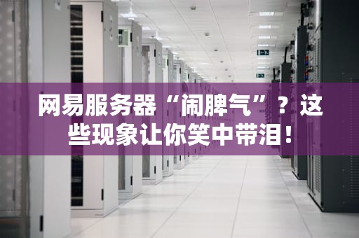 网易服务器“闹脾气”？这些现象让你笑中带泪！