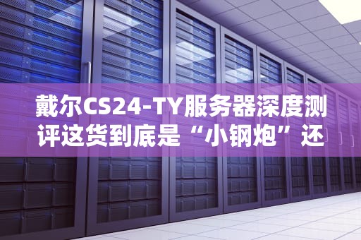 戴尔CS24-TY服务器深度测评这货到底是“小钢炮”还是“古董机”？
