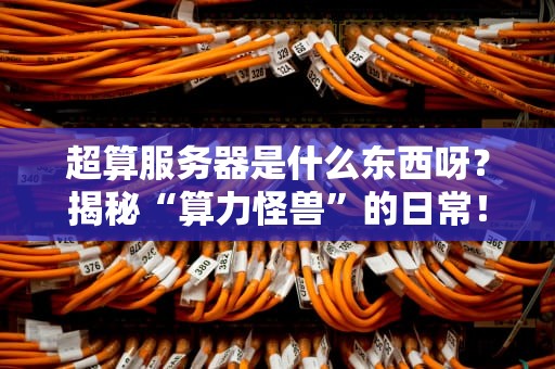 超算服务器是什么东西呀？揭秘“算力怪兽”的日常！