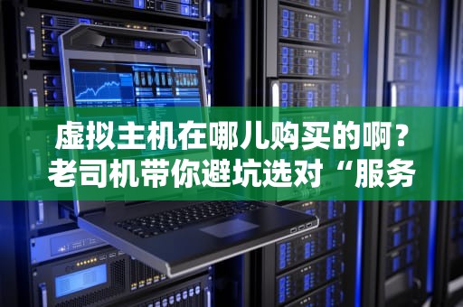 虚拟主机在哪儿购买的啊？老司机带你避坑选对“服务器小窝”！
