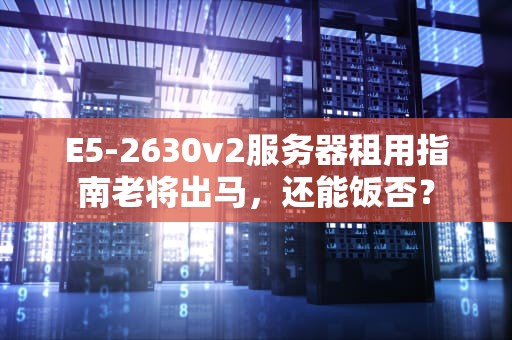 E5-2630v2服务器租用指南老将出马，还能饭否？