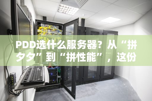 PDD选什么服务器？从“拼夕夕”到“拼性能”，这份避坑指南让你秒变老司机！