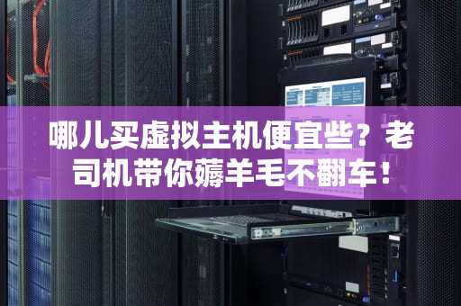 哪儿买虚拟主机便宜些？老司机带你薅羊毛不翻车！