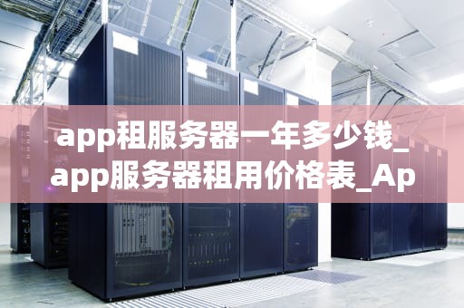 app租服务器一年多少钱_app服务器租用价格表_App租服务器一年的费用分析