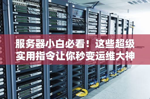 服务器小白必看！这些超级实用指令让你秒变运维大神（附详细教程）