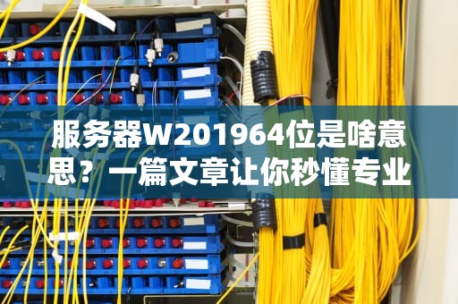 服务器W201964位是啥意思？一篇文章让你秒懂专业术语！