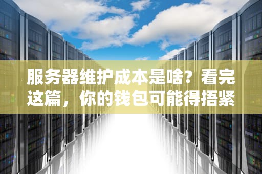 服务器维护成本是啥？看完这篇，你的钱包可能得捂紧了！