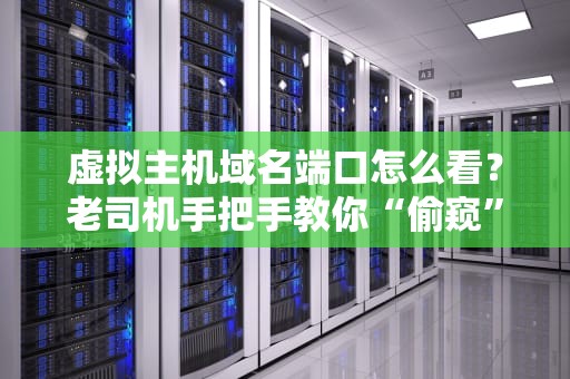 虚拟主机域名端口怎么看？老司机手把手教你“偷窥”服务器的小秘密！