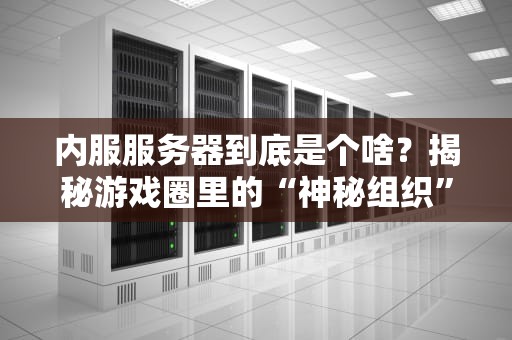 内服服务器到底是个啥？揭秘游戏圈里的“神秘组织”