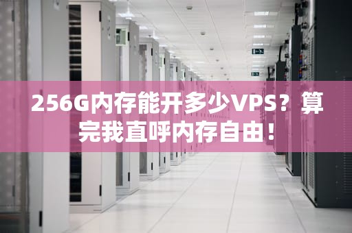 256G内存能开多少VPS？算完我直呼内存自由！