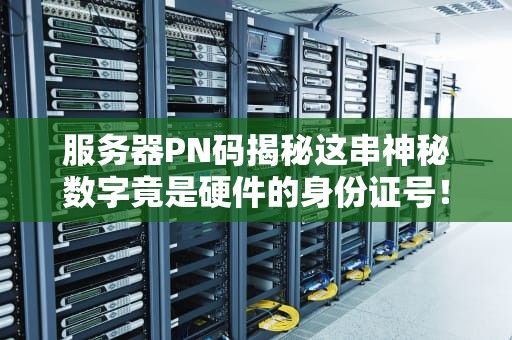 服务器PN码揭秘这串神秘数字竟是硬件的身份证号！
