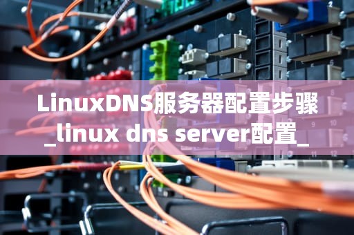 LinuxDNS服务器配置步骤_linux dns server配置_目录：