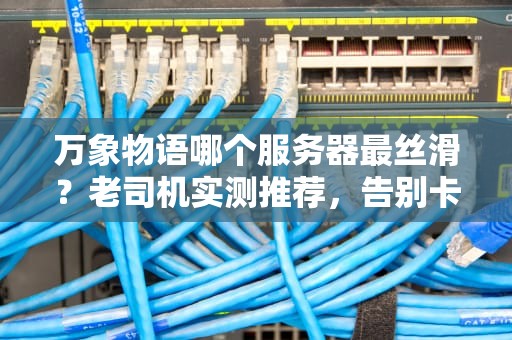 万象物语哪个服务器最丝滑？老司机实测推荐，告别卡顿当大佬！