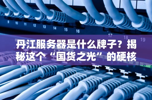 丹江服务器是什么牌子？揭秘这个“国货之光”的硬核实力！