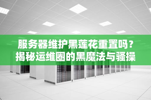 服务器维护黑莲花重置吗？揭秘运维圈的黑魔法与骚操作