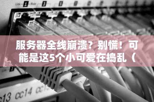 服务器全线崩溃？别慌！可能是这5个小可爱在捣乱（附专业解决方案）