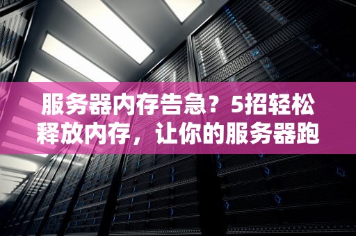 服务器内存告急？5招轻松释放内存，让你的服务器跑得比兔子还快！