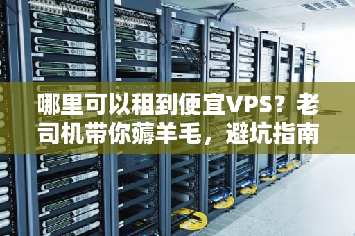 哪里可以租到便宜VPS？老司机带你薅羊毛，避坑指南+性能实测！
