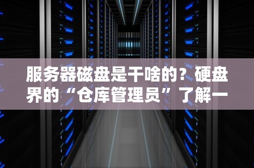 服务器磁盘是干啥的？硬盘界的“仓库管理员”了解一下！