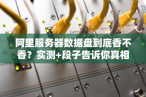 阿里服务器数据盘到底香不香？实测+段子告诉你真相！