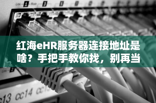 红海eHR服务器连接地址是啥？手把手教你找，别再当“迷路的小白”啦！
