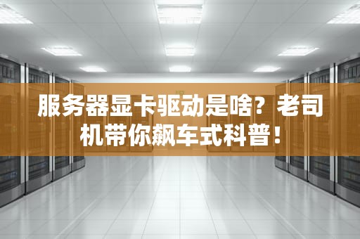 服务器显卡驱动是啥？老司机带你飙车式科普！