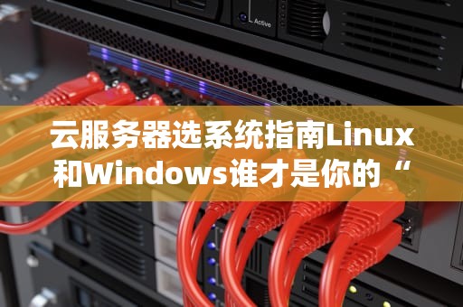 云服务器选系统指南Linux和Windows谁才是你的“真命天子”？